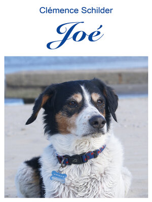 cover image of Joé